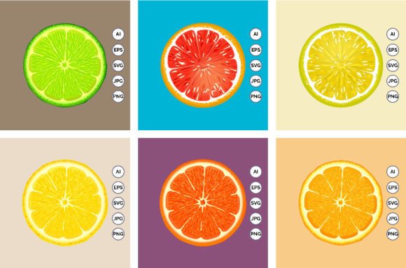 Lemon Orange Fruits Slice Vector Set: Graphics & Illustrations